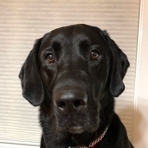 Meet your Posher, Tony